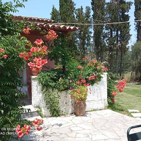 Errika Apartment Ipsos Bagian luar foto