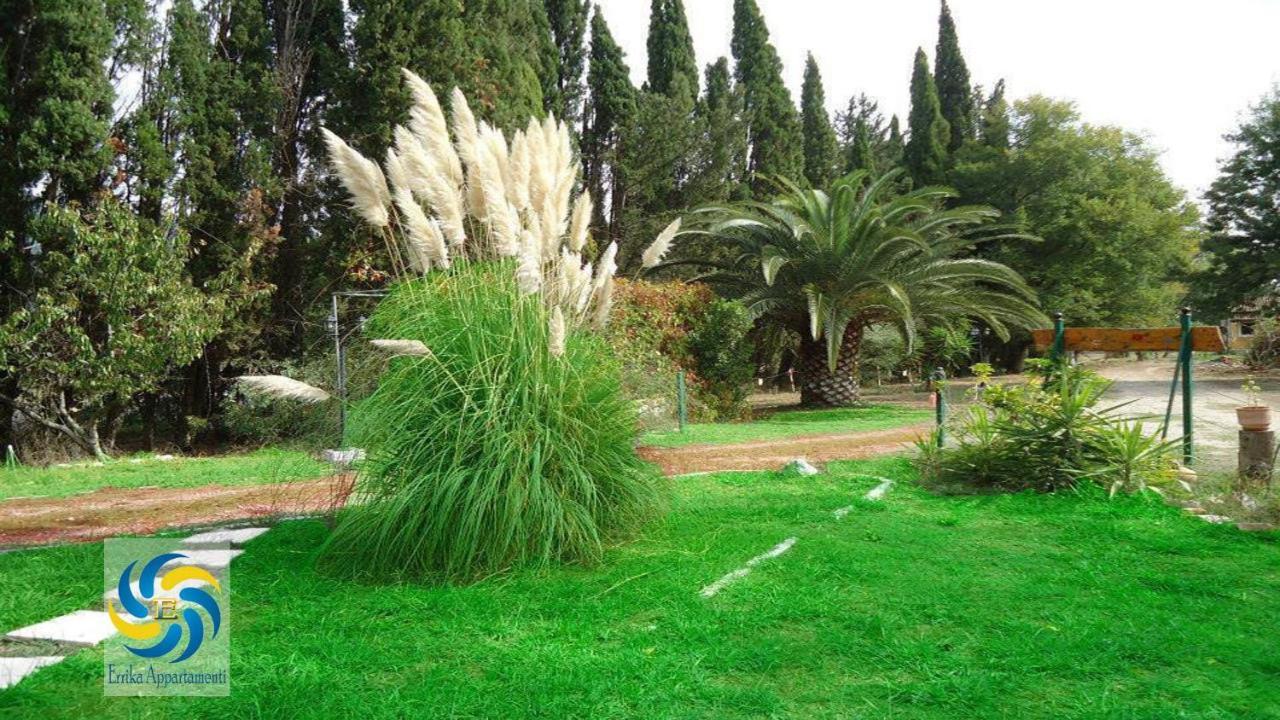 Errika Apartment Ipsos Bagian luar foto