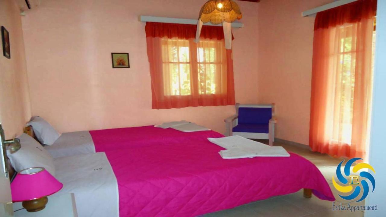 Errika Apartment Ipsos Bagian luar foto