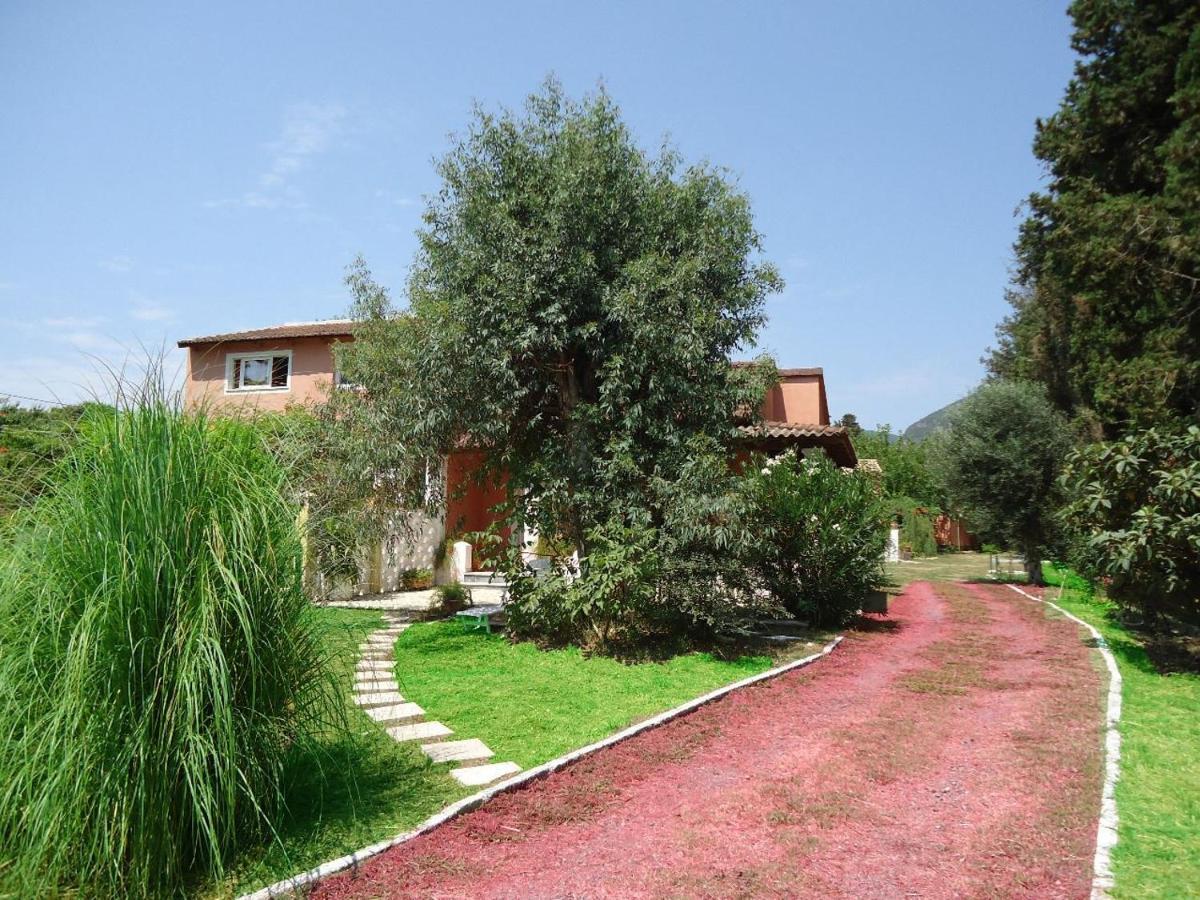 Errika Apartment Ipsos Bagian luar foto