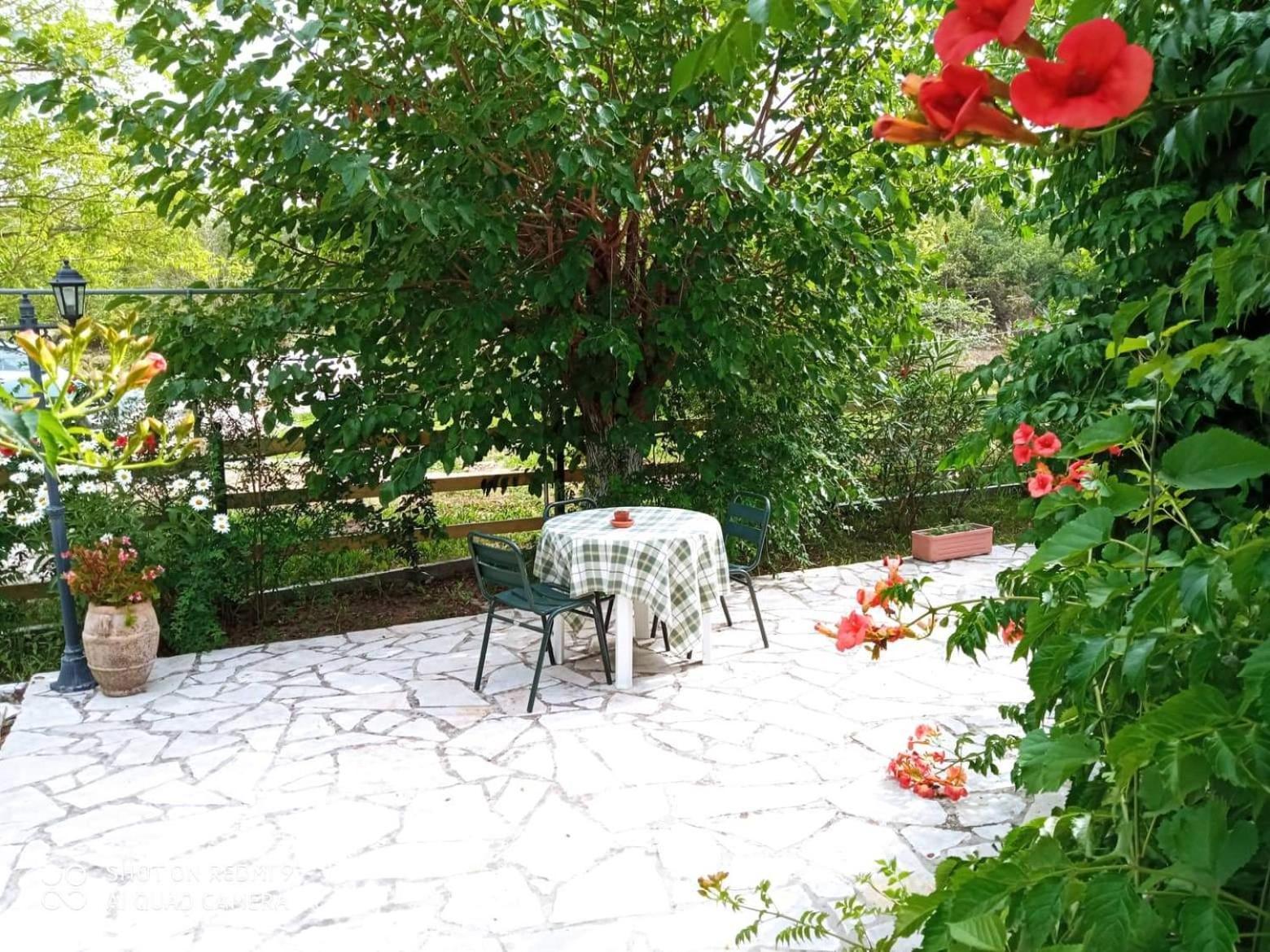 Errika Apartment Ipsos Bagian luar foto
