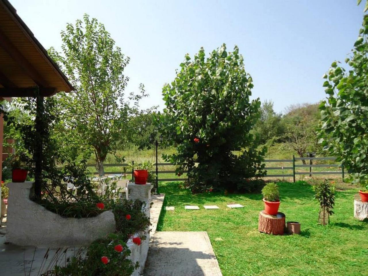 Errika Apartment Ipsos Bagian luar foto
