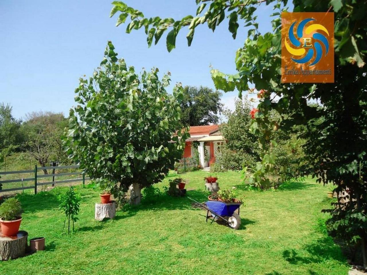 Errika Apartment Ipsos Bagian luar foto
